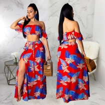 Sexy Print Tube Top Suit SMR9192