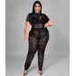 Large size spring and summer short-sleeved see-through nightclub lace two-piece suit J22Y6107
